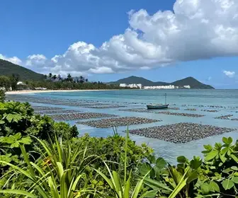 A Importância da Maricultura em Bombinhas para o Turismo Sustentável A Importância da Maricultura em Bombinhas para o Turismo Sustentável