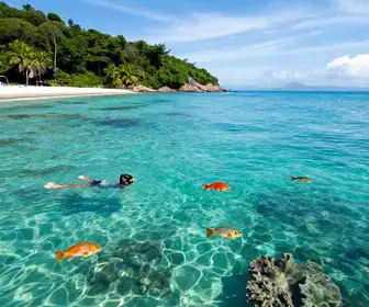 As Melhores Praias para Mergulho em Bombinhas - SC
