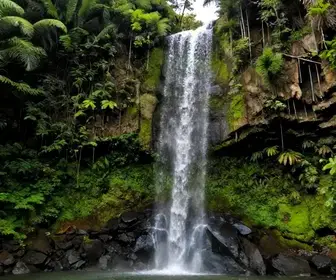 Descubra a Beleza da Cachoeira da Praia Triste em Bombinhas
