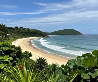 Descubra a Beleza da Praia do Casqueiro em Bombinhas Descubra a Beleza da Praia do Casqueiro em Bombinhas