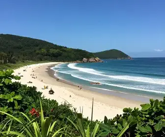 Descubra a Encantadora Praia do Cação em Bombinhas – SC Descubra a Encantadora Praia do Cação em Bombinhas - SC