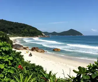Descubra a Praia de Bombinhas: Beleza e Natureza em SC