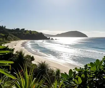 Descubra a Praia do Cação: Seu Próximo Destino em Bombinhas Descubra a Praia do Cação: Seu Próximo Destino em Bombinhas