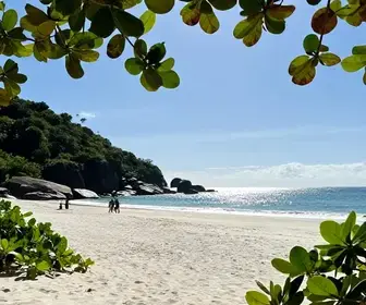 Descubra a Prainha: Canto Paradisíaco em Bombinhas Descubra a Prainha: Canto Paradisíaco em Bombinhas
