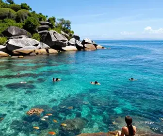 Descubra a Reserva Biológica Marinha do Arvoredo em Bombinhas - SC