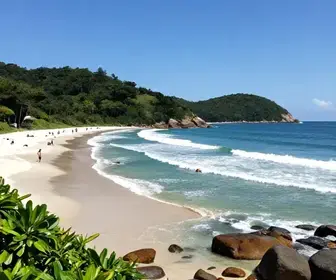 Descubra as Maravilhas da Praia do Cachalote em Bombinhas Descubra as Maravilhas da Praia do Cachalote em Bombinhas