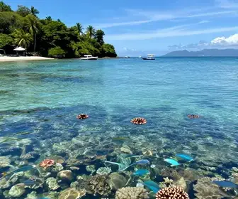 Descubra as Maravilhas do Passeio pelas Fazendas Marinhas em Bombinhas Descubra as Maravilhas do Passeio pelas Fazendas Marinhas em Bombinhas
