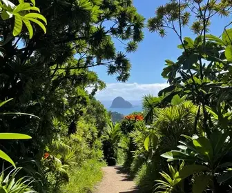 Descubra as Melhores Trilhas em Bombinhas: Um Roteiro Imperdível