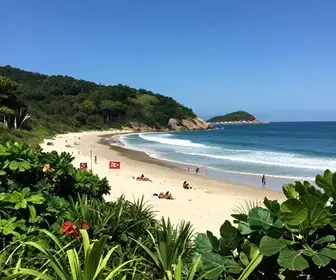 Entenda a Taxa de Preservação Ambiental em Bombinhas - SC