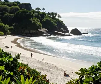 Praia do Macuco: Um Refúgio de Natureza em Bombinhas