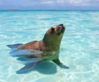 SETE PRAIAS DA BAHIA RECEBEM SELO INTERNACIONAL; SAIBA QUAIS